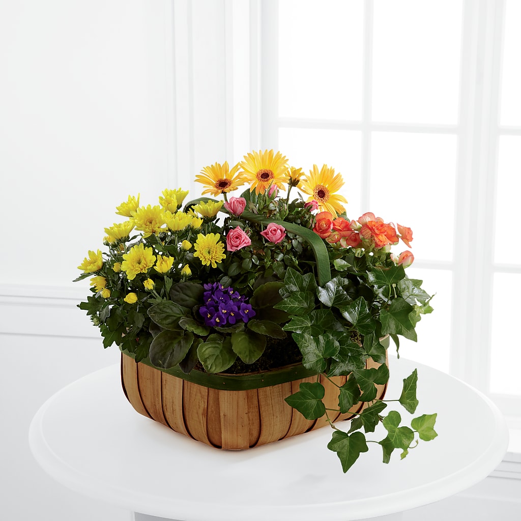 Gentle Blossoms Basket – Corona Rose Flowers, Corona CA