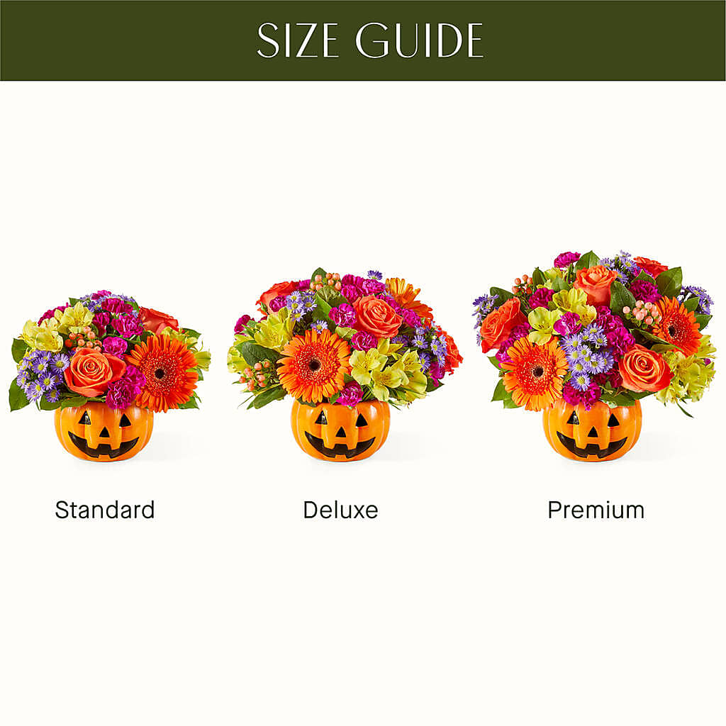 Tricks & Treats Pumpkin – Corona Rose Flowers, Corona CA