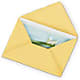 Greeting Card – Corona Rose Flowers, Corona CA