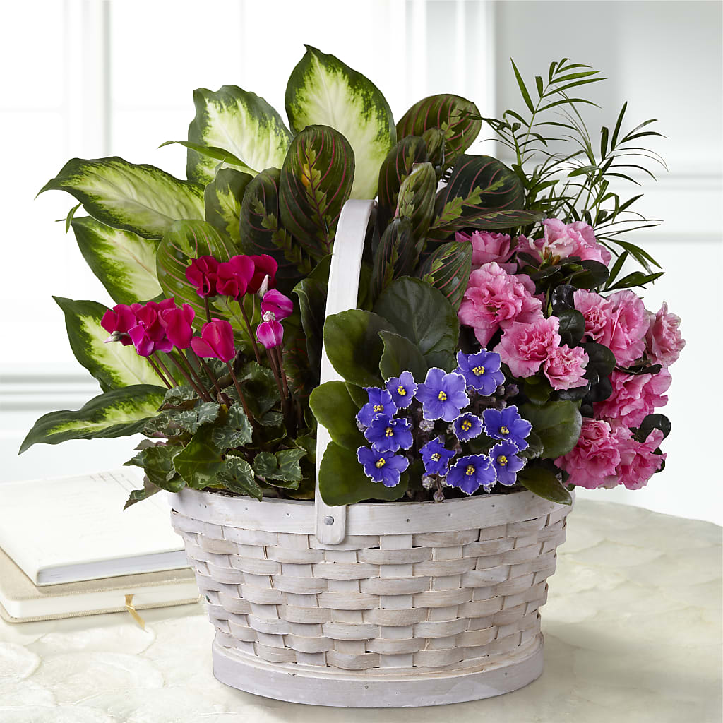 Peaceful Garden Planter – Corona Rose Flowers, Corona CA