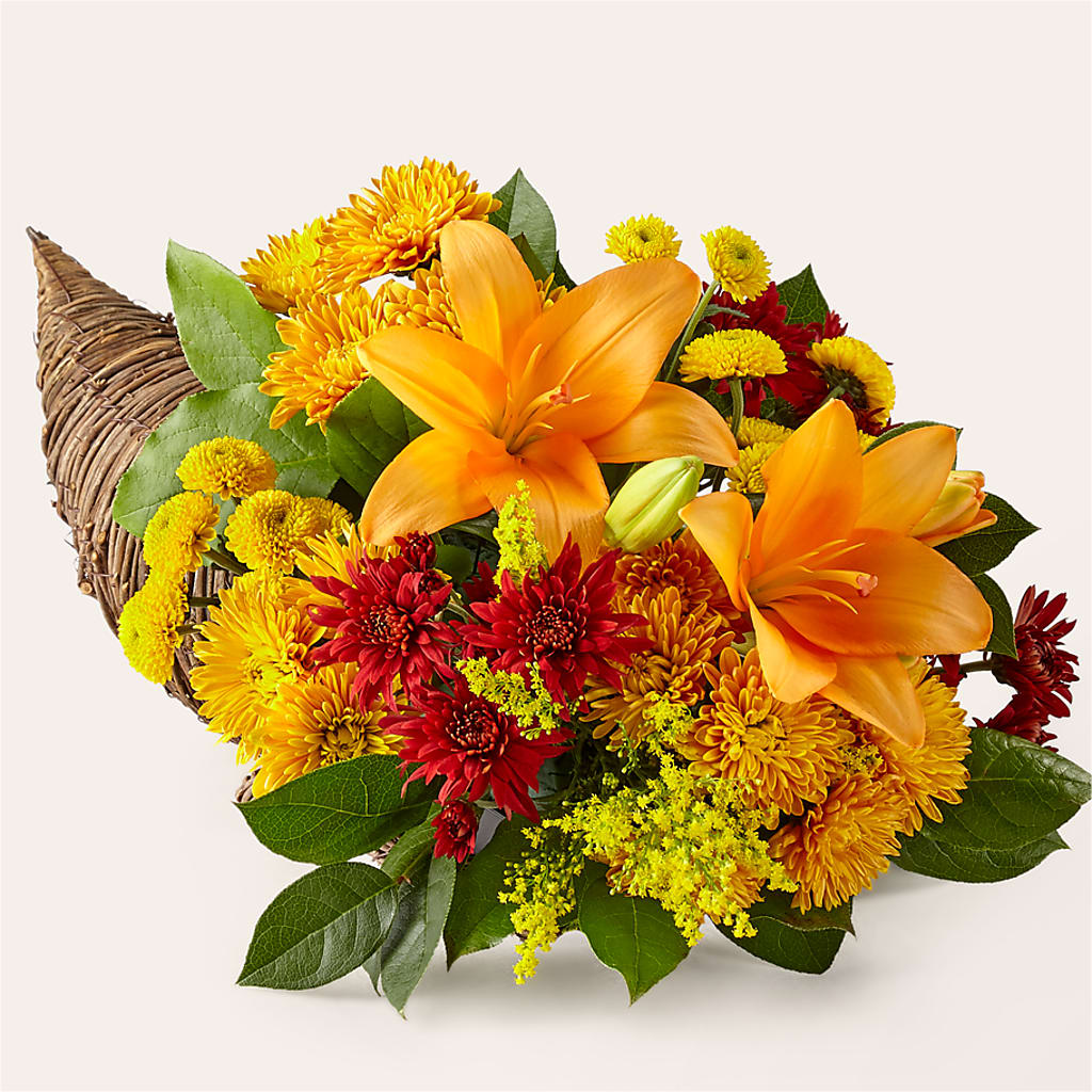 Feast of Color Cornucopia – Corona Rose Flowers, Corona CA