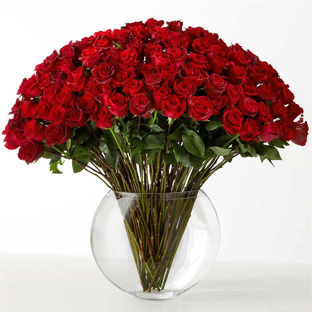 The Idealist – Corona Rose Flowers, Corona CA