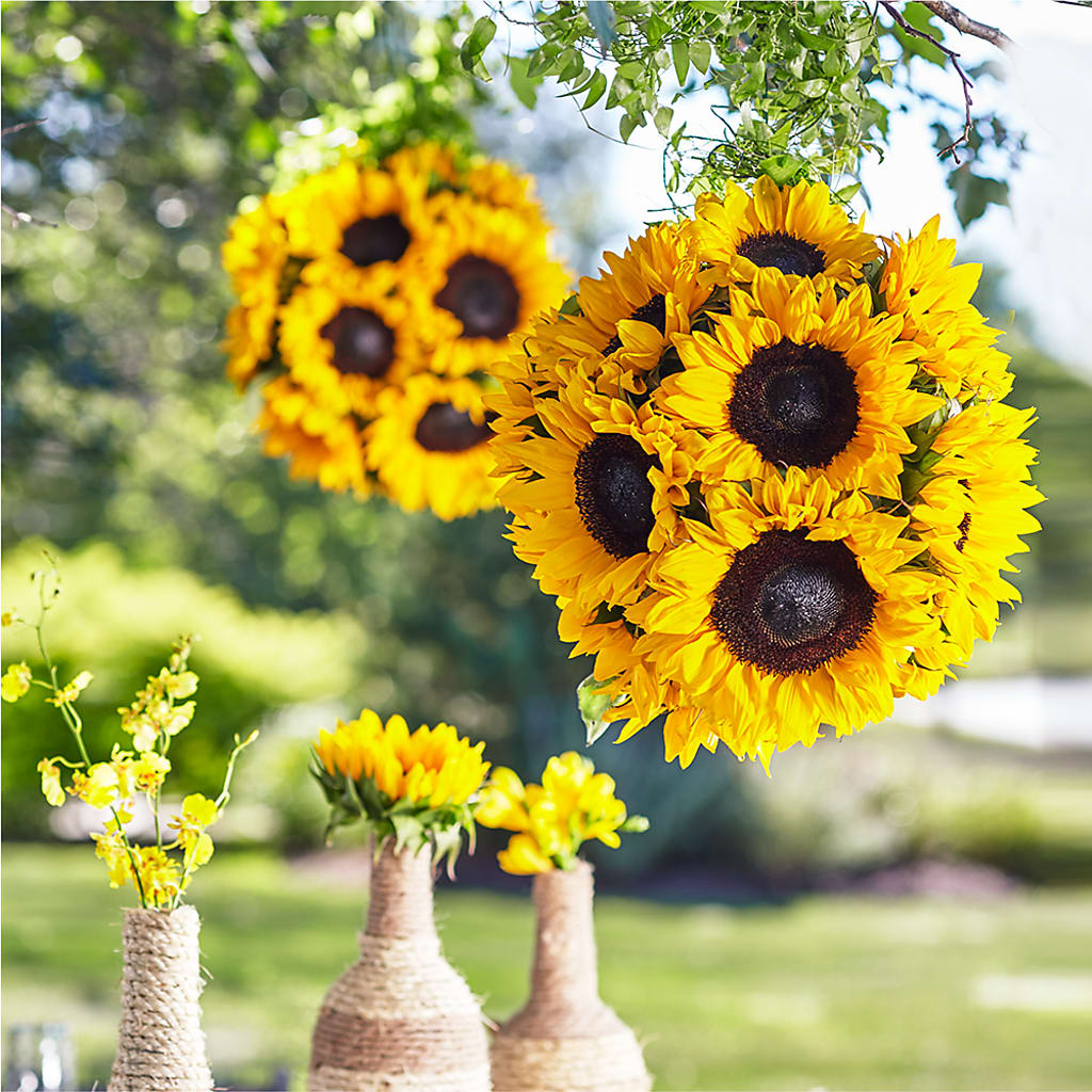 Sublime Garden Hanging Arrangement – Corona Rose Flowers, Corona CA