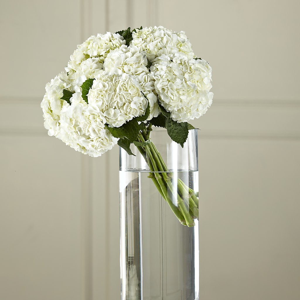 White Hydrangea Hand-Tied Bouquet – Corona Rose Flowers, Corona CA