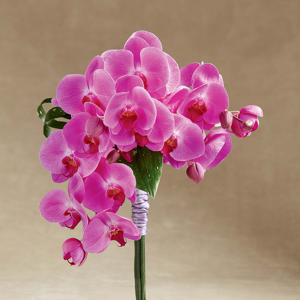 Glorious Bouquet – Corona Rose Flowers, Corona CA