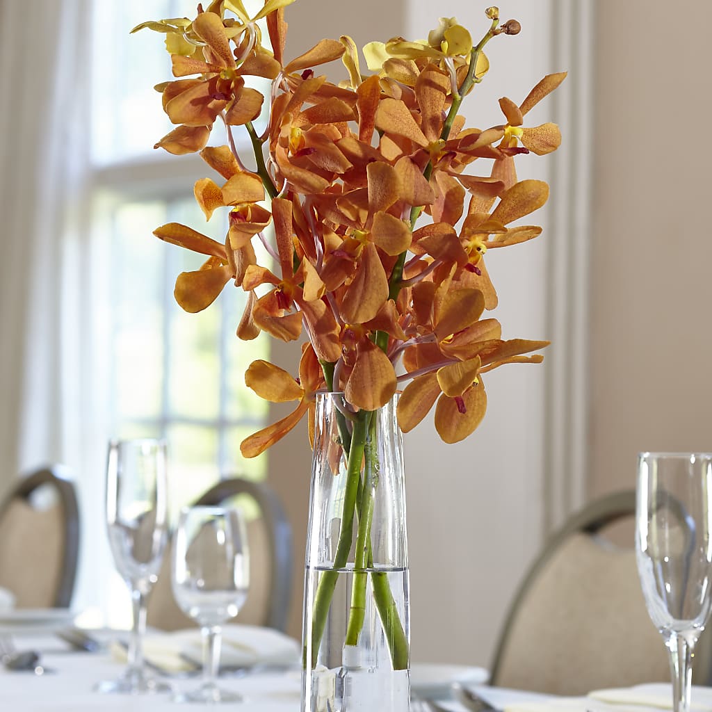 Orange Mokara Bud Vase – Corona Rose Flowers, Corona CA