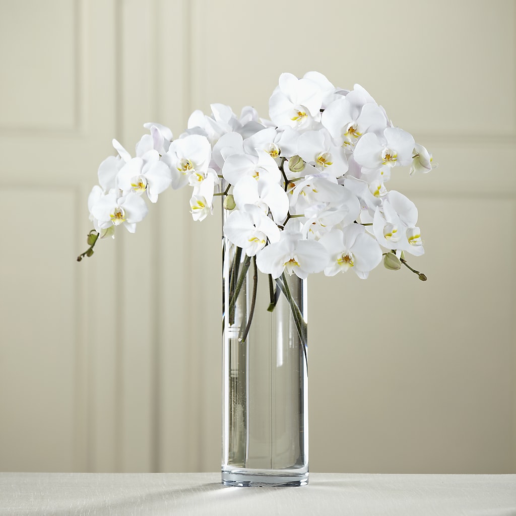 White Phalaenopsis Bouquet – Corona Rose Flowers, Corona CA