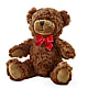 Adorable Plush Bear –  Corona Rose Flowers, Corona CA