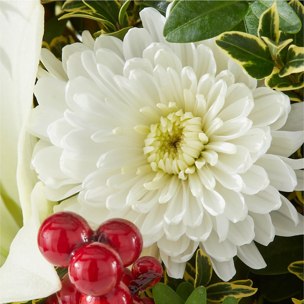 Festive Moments Tree –  Corona Rose Flowers, Corona CA