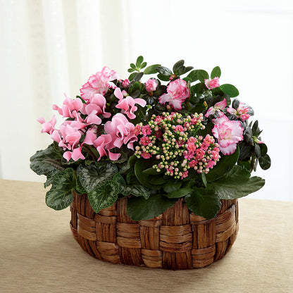 Pink Assortment –  Corona Rose Flowers, Corona CA