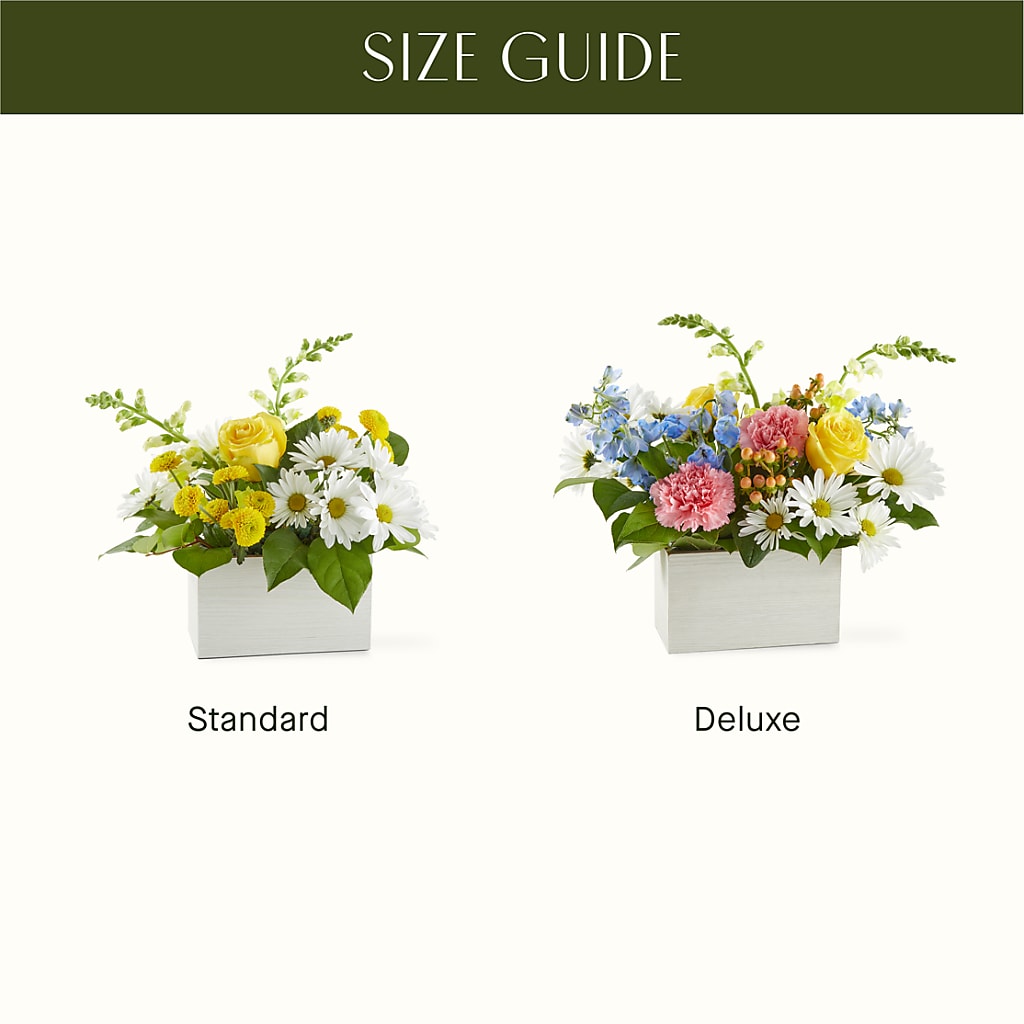 Sun Salutation Box Bouquet –  Corona Rose Flowers, Corona CA