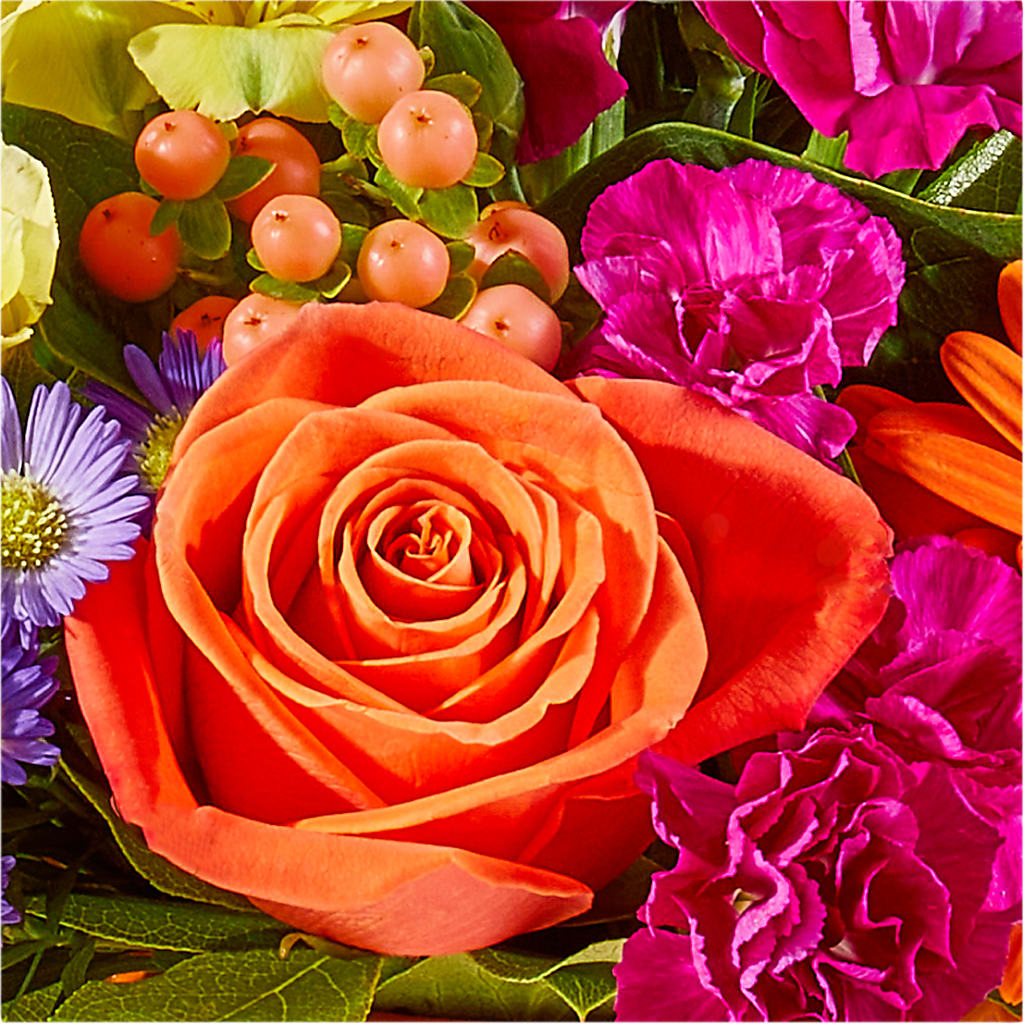 Tricks & Treats Pumpkin –  Corona Rose Flowers, Corona CA