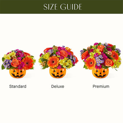 Tricks & Treats Pumpkin –  Corona Rose Flowers, Corona CA