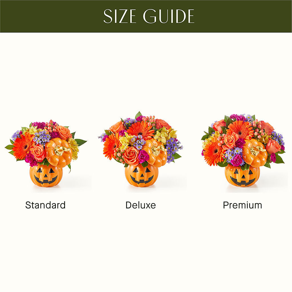 Tricks & Treats Pumpkin –  Corona Rose Flowers, Corona CA