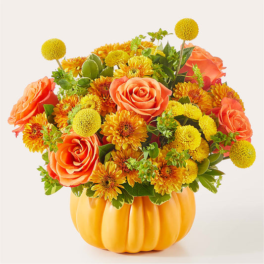 Gourdgeous Pumpkin –  Corona Rose Flowers, Corona CA