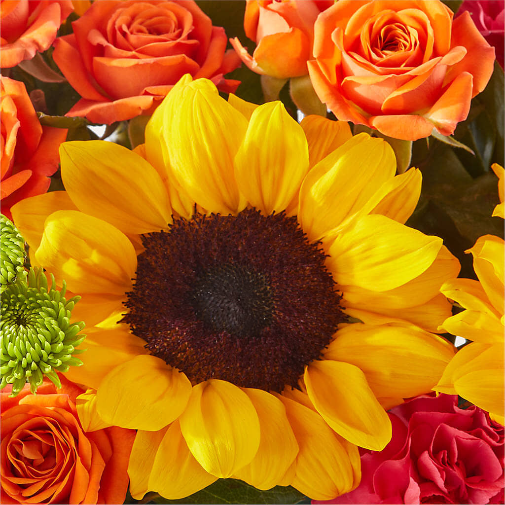 Sun-drenched Blooms Box Bouquet –  Corona Rose Flowers, Corona CA