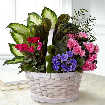 Peaceful Garden Planter –  Corona Rose Flowers, Corona CA