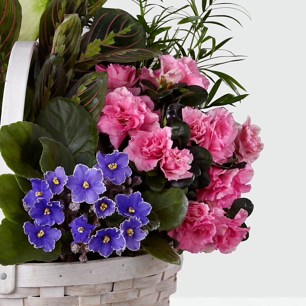 Peaceful Garden Planter –  Corona Rose Flowers, Corona CA