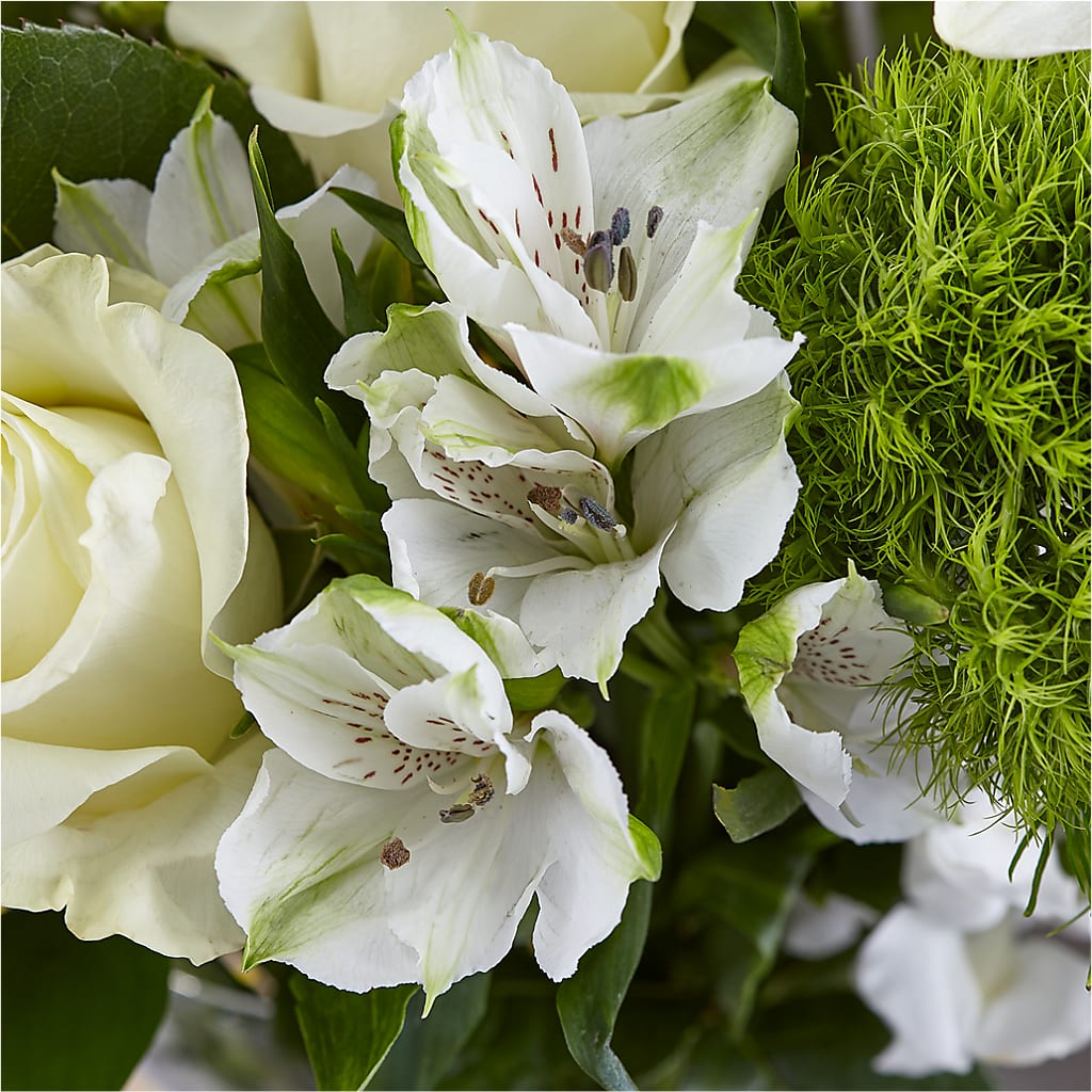 Classic Ivory – A Florist Original –  Corona Rose Flowers, Corona CA
