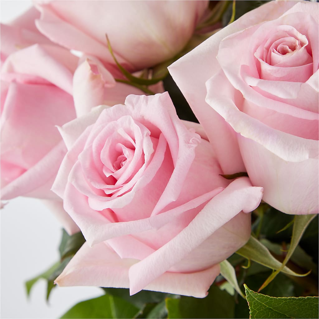 Picture Perfect Pink Rose Bouquet –  Corona Rose Flowers, Corona CA