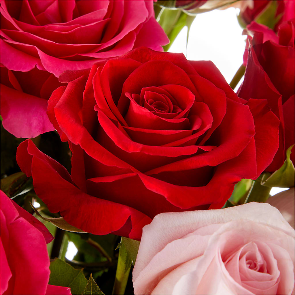 Love Notes Rose Bouquet –  Corona Rose Flowers, Corona CA
