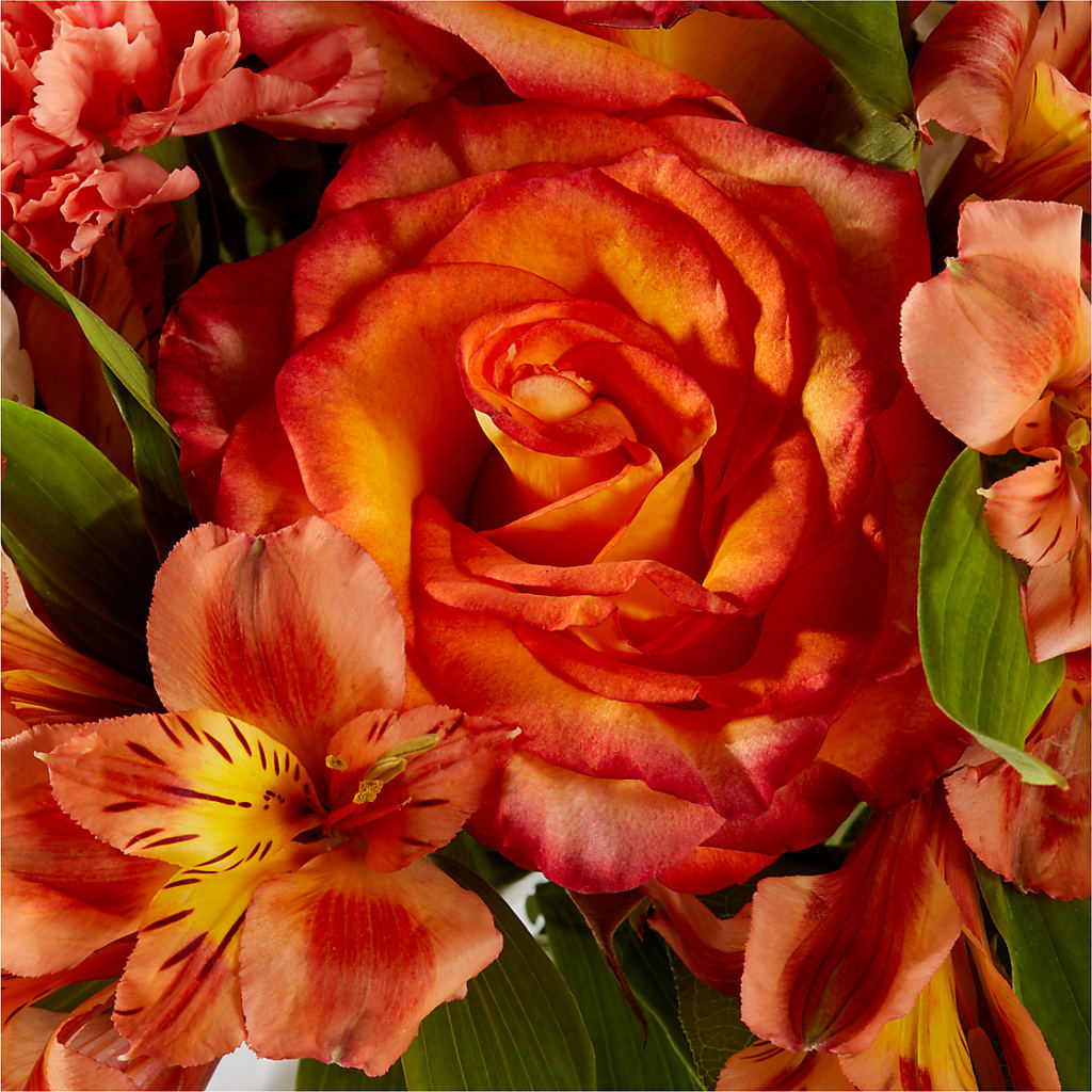 Apricot Glow Bouquet –  Corona Rose Flowers, Corona CA