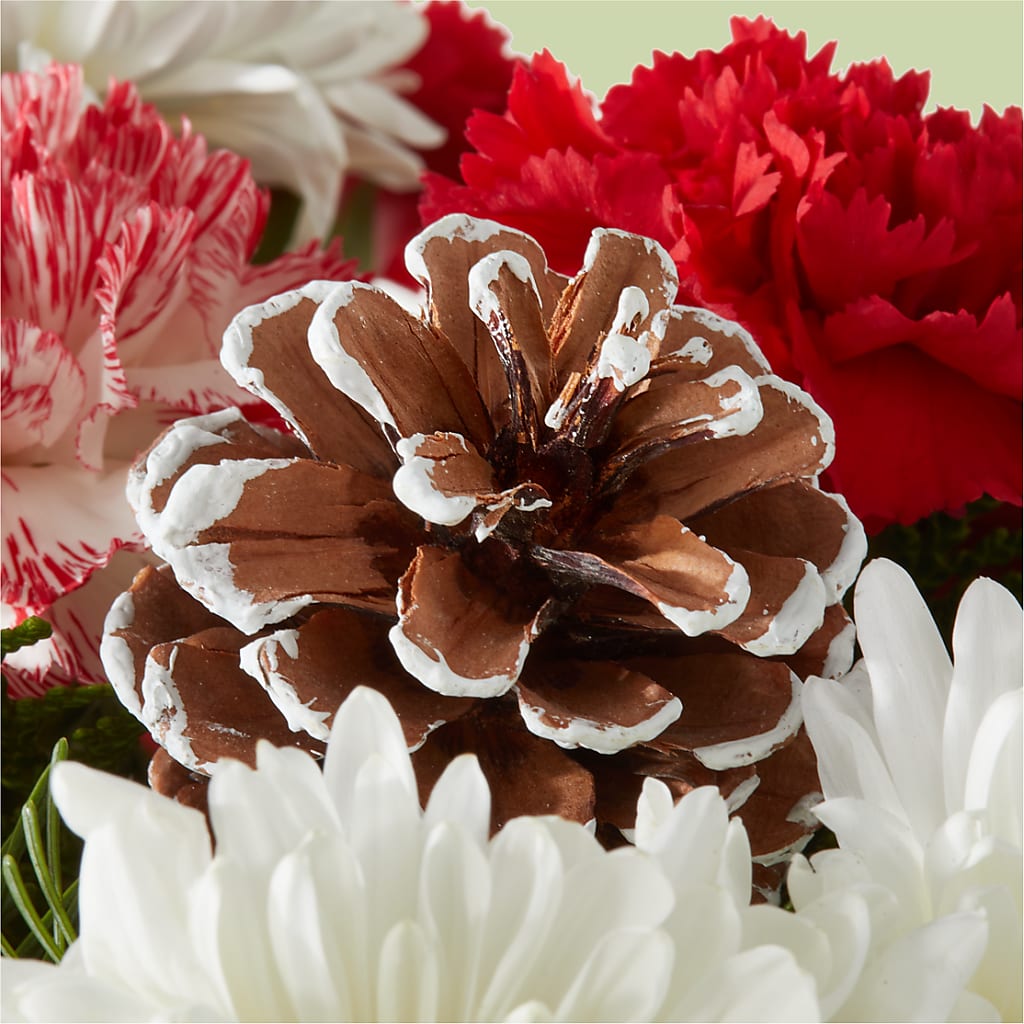 Candy Cane Lane Bouquet –  Corona Rose Flowers, Corona CA