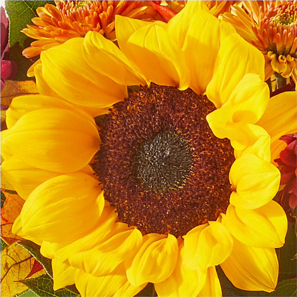 Sunny Side Bouquet –  Corona Rose Flowers, Corona CA
