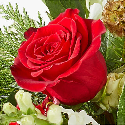 Deck the Halls Bouquet –  Corona Rose Flowers, Corona CA