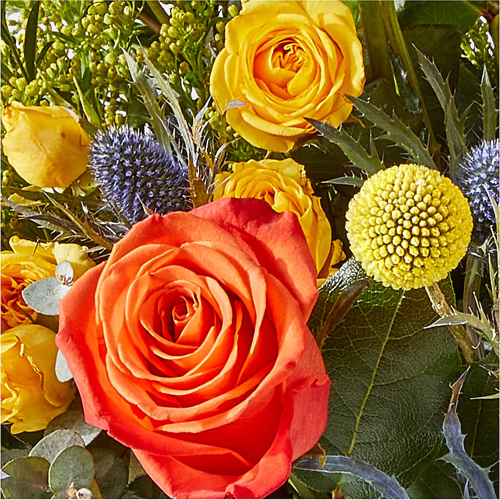 Disco Bouquet –  Corona Rose Flowers, Corona CA