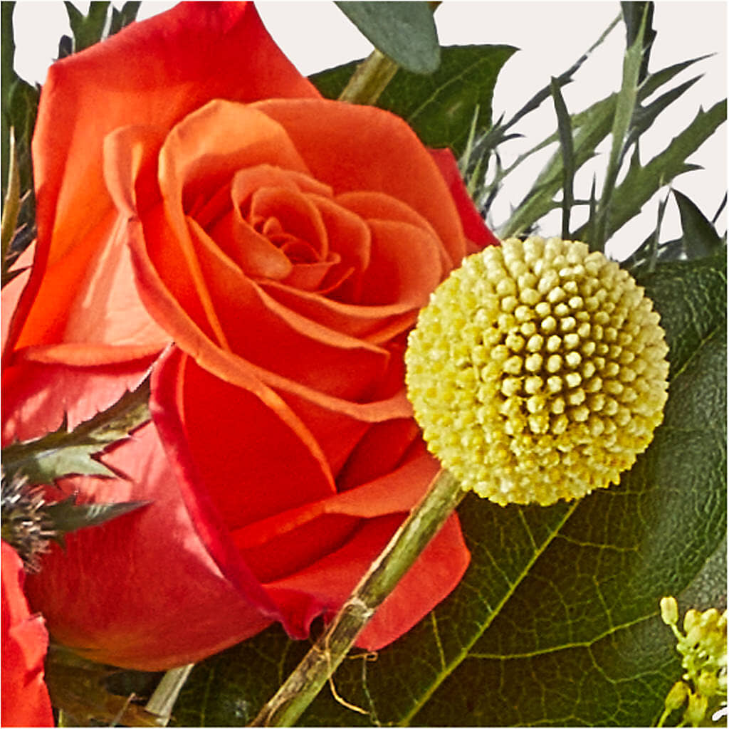 Disco Bouquet –  Corona Rose Flowers, Corona CA