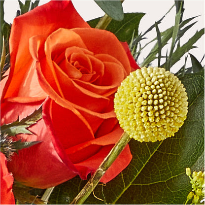 Disco Bouquet –  Corona Rose Flowers, Corona CA