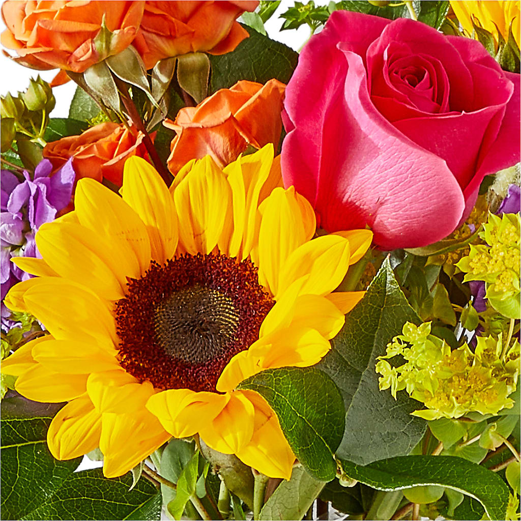 Vibrant Greetings Bouquet –  Corona Rose Flowers, Corona CA