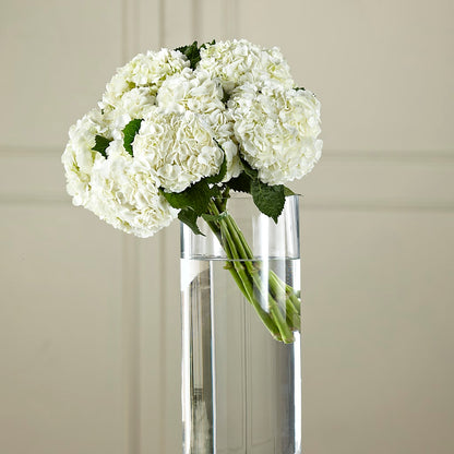White Hydrangea Hand-Tied Bouquet –  Corona Rose Flowers, Corona CA