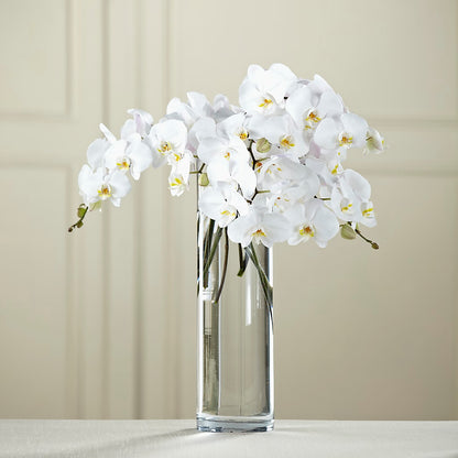 White Phalaenopsis Bouquet –  Corona Rose Flowers, Corona CA